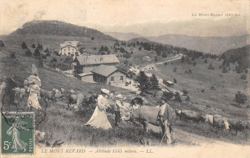 Carte postale ancienne Le Mont Revard - Vaches