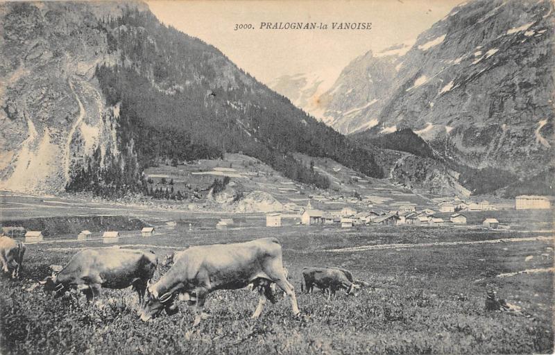 Carte postale ancienne Pralognan La Vanoise - Vaches à Pralognan-la-Vanoise