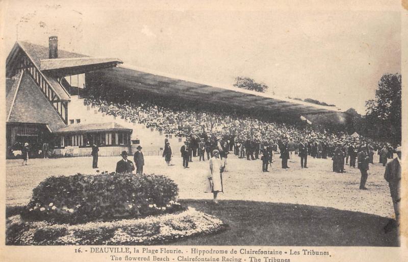 Carte postale ancienne Deauville - Hippodrome De Clairefontaine à Deauville
