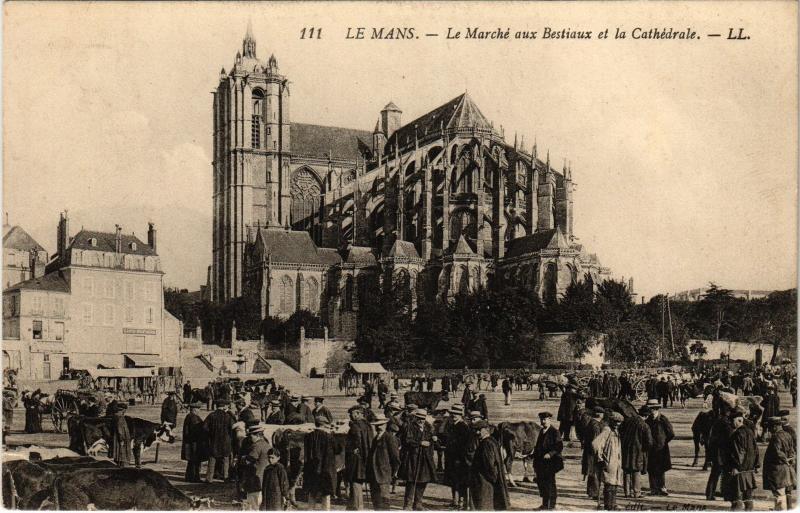 Carte postale ancienne Le Mans Marche aux Bestiaux au Mans
