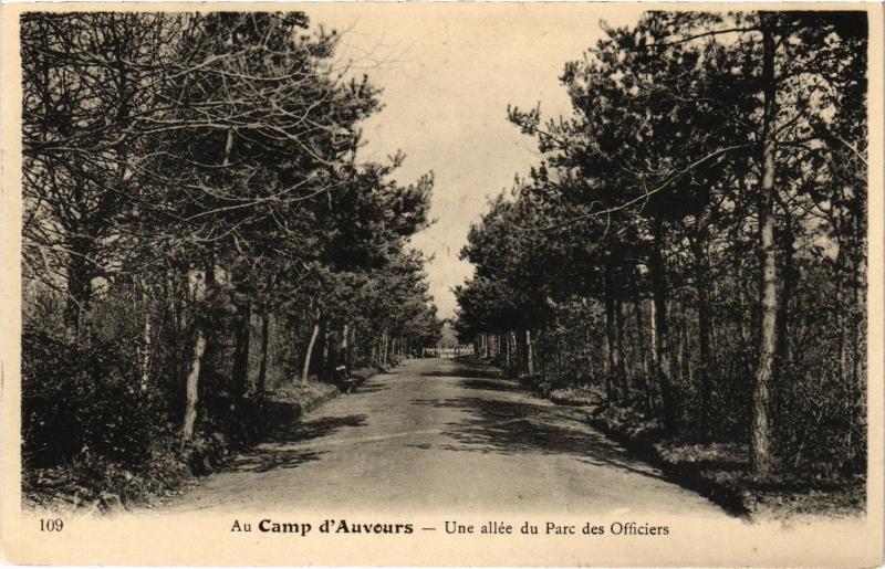 Carte postale ancienne Camp d'Auvours une allee du Parc des Officiers