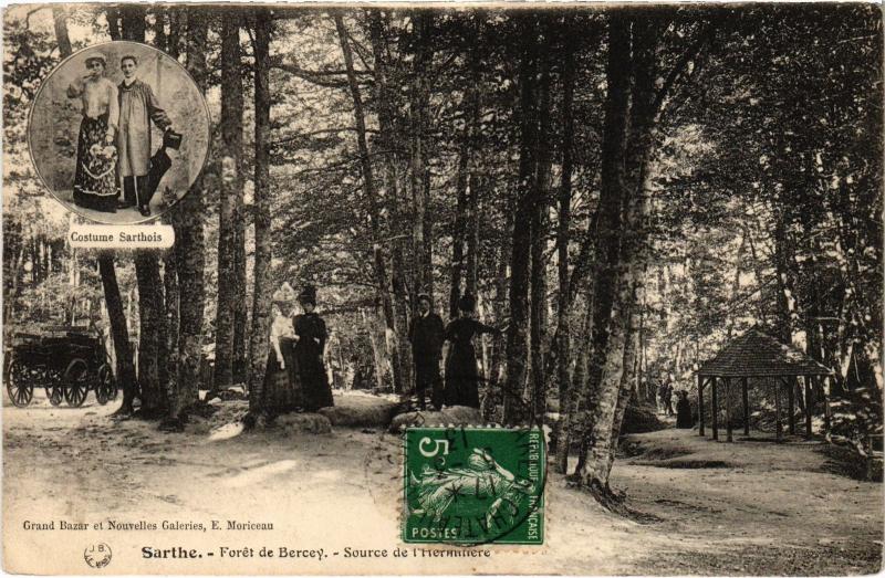 Carte postale ancienne Foret de Berce