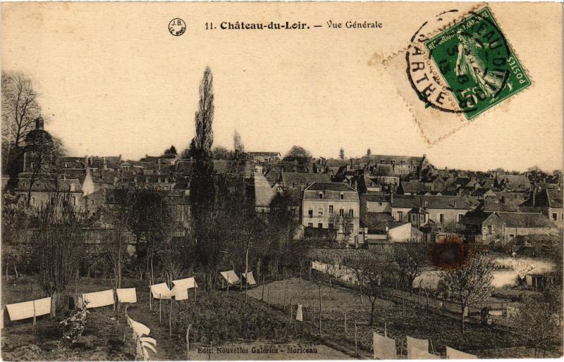 Carte postale ancienne Chateau du Loir vue generale