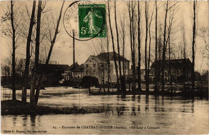Carte postale ancienne Chateau du Loir le Loir a Coemont