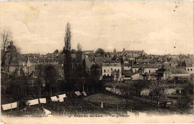 Carte postale ancienne Chateau du Loir vue generale