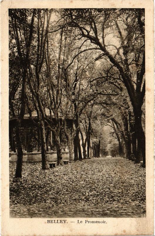 Carte postale ancienne Belley Le Promenoir à Belley