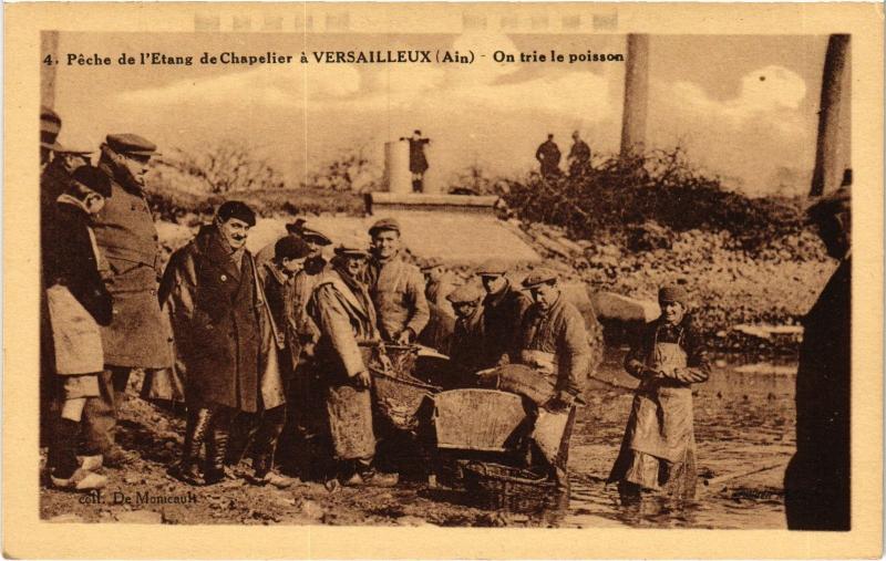 Carte postale ancienne Peche de l'Etang de Chapelier a Versailleux On trie le poisson à Versailleux