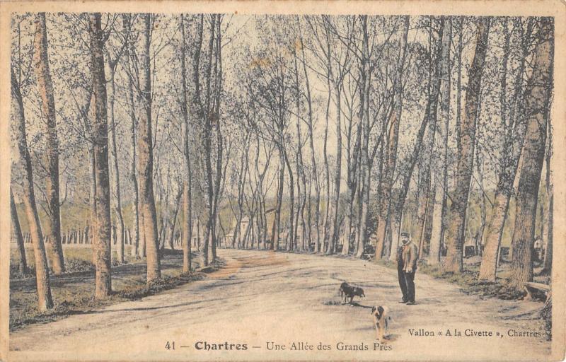 Carte postale ancienne Chartres - Une Allee Des Grands Pres à Chartres