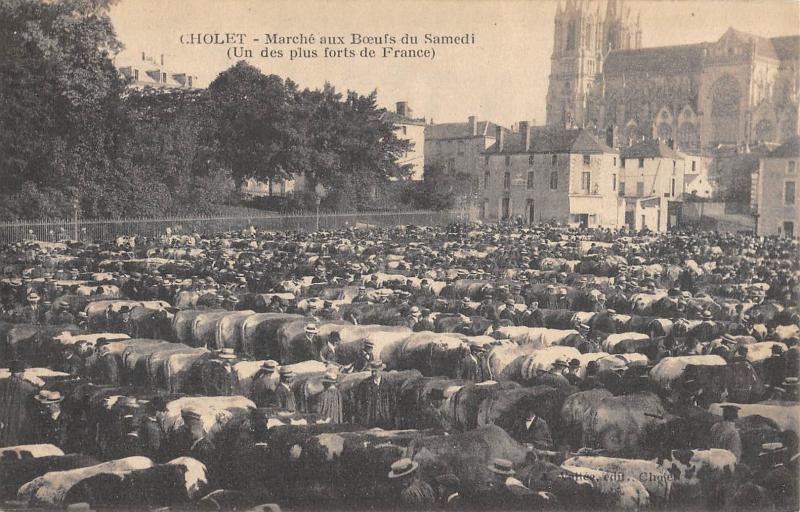 Carte postale ancienne Cholet - Marche Aux Boeufs Du Samedi à Cholet