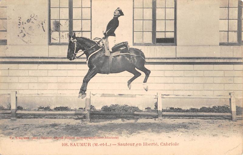 Carte postale ancienne Saumur - Sauteur En Liberte - Cabriole à Saumur