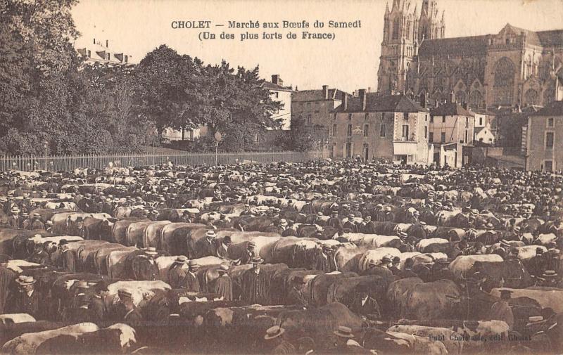 Carte postale ancienne Cholet - Marche Aux Boeufs Du Samedi à Cholet