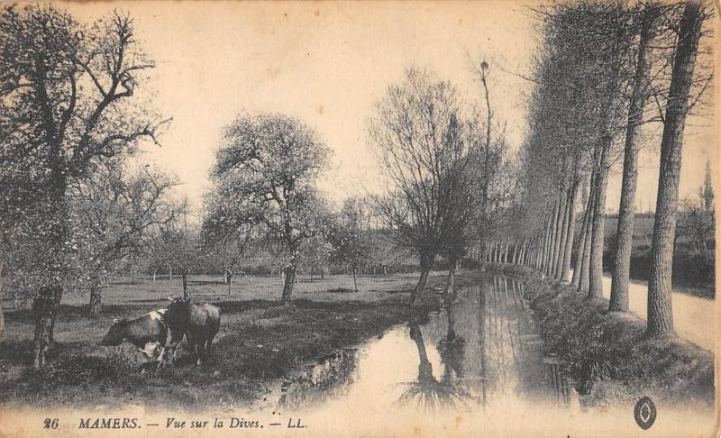 Carte postale ancienne Mamers - Vue Sur La Dives à Mamers