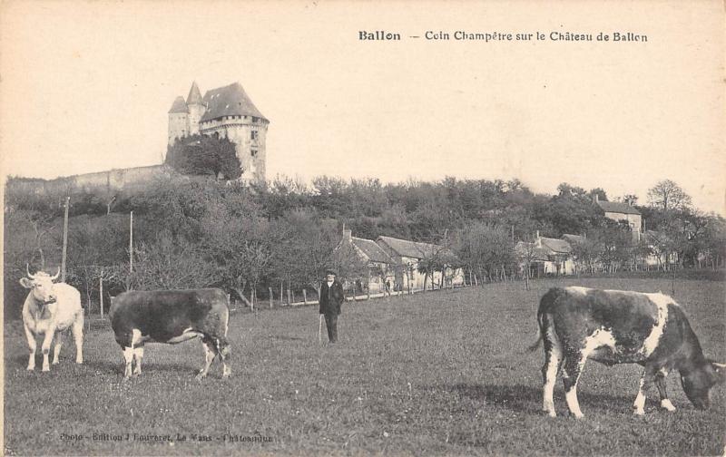 Carte postale ancienne Ballon - Coin Champetre Sur Le Chateau De Ballon - Vaches