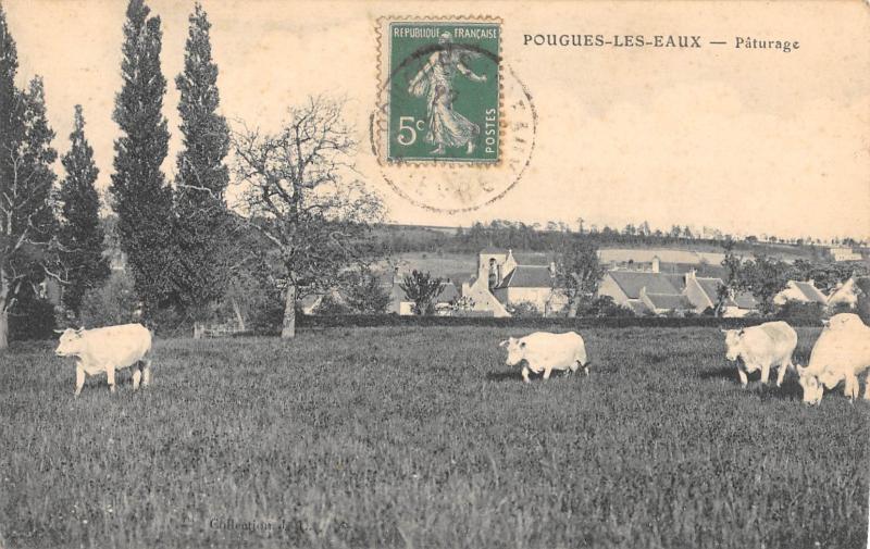 Carte postale ancienne Pougues Les Eaux - Paturage - Vaches à Pougues-les-Eaux