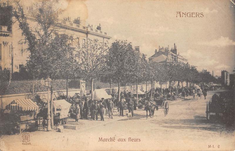 Carte postale ancienne Angers - Marche Aux Fleurs à Angers