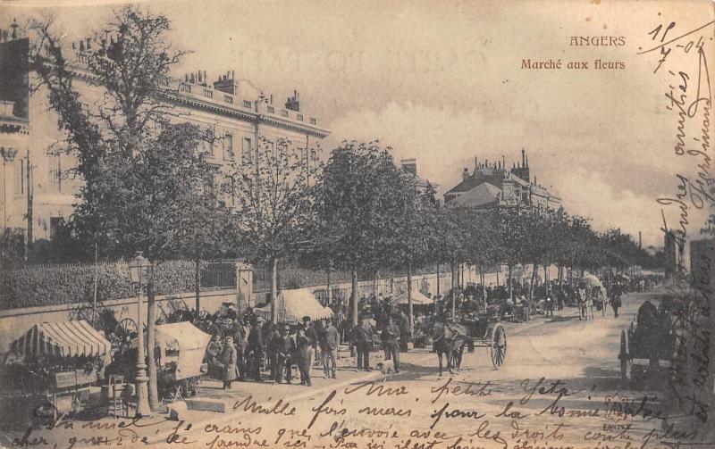 Carte postale ancienne Angers - Marche Aux Fleurs à Angers