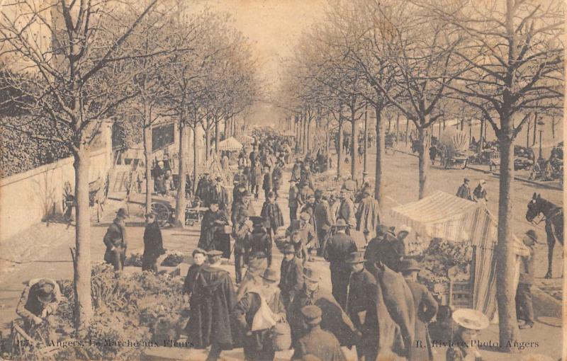 Carte postale ancienne Angers - Marche Aux Fleurs à Angers