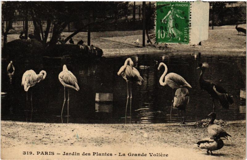 Carte postale ancienne Paris 5e-Jardin des Plantes-La Grande Voliére à Paris 5e
