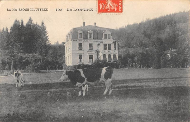 Carte postale ancienne La Longine - Vaches à La Longine