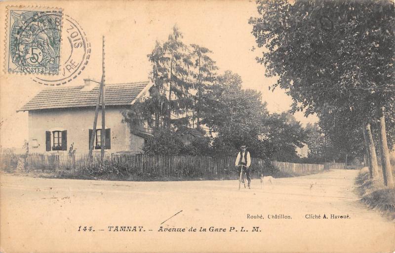 Carte postale ancienne Tamnay - Avenue De La Gare P.L.M.