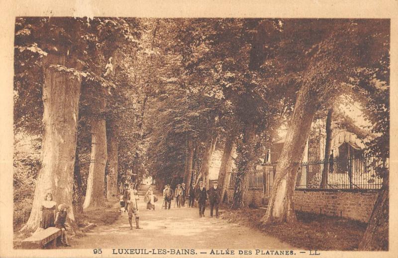 Carte postale ancienne Luxeuil - Allee Des Platanes
