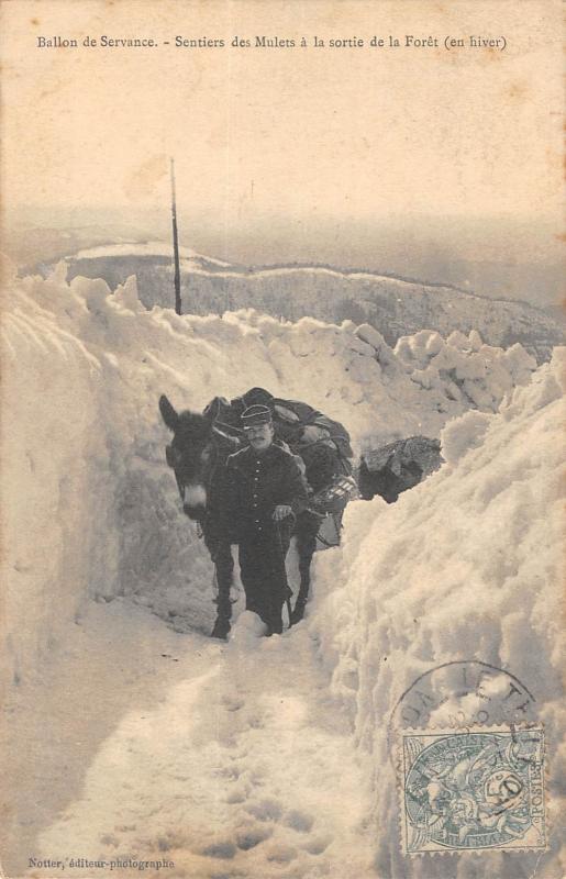 Carte postale ancienne Ballon De Servance - Sentiers Des Mulets A La Sortie De La Foret - En Hiv