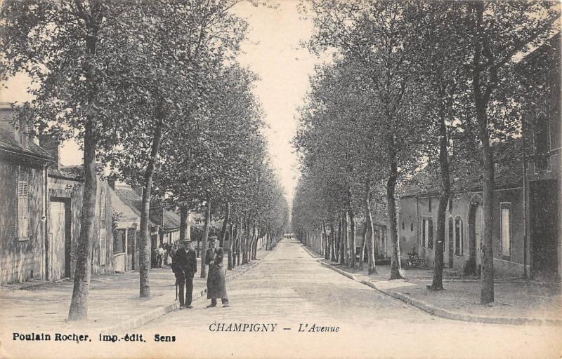 Carte postale ancienne Champigny - L'Avenue à Champigny