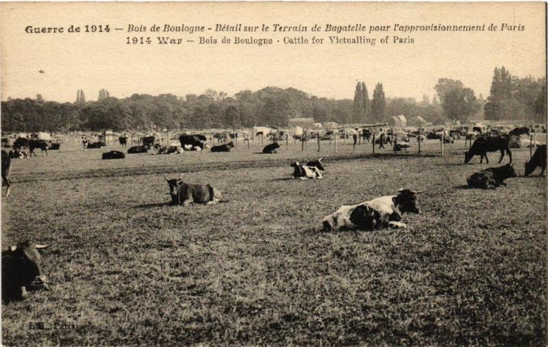 Carte postale ancienne Bois de Boulogne - Bétail sur le Terrain de Bagatelle pour l'approvisionnement de Paris à Paris 16e