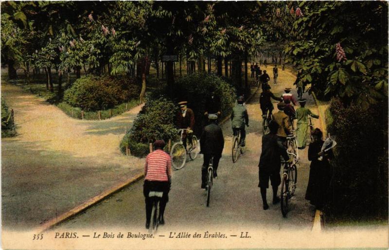 Carte postale ancienne Bois de Boulogne - L'Allée des Erables à Paris 16e