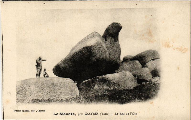 Carte postale ancienne Le Sidobre pres Castres - Le Roc de l'Oie à Castres