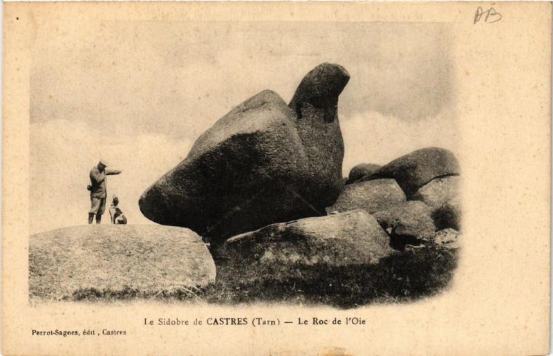 Carte postale ancienne Le Sidobre de Castres - Le Roc de l'Oie à Castres