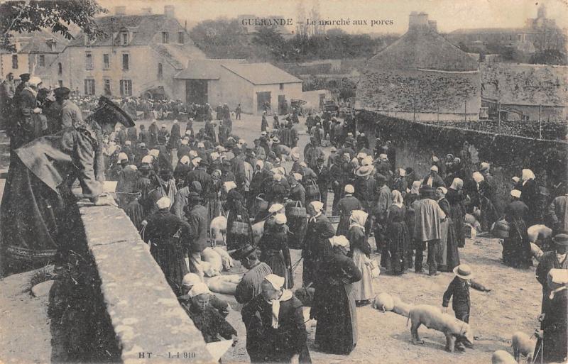 Carte postale ancienne Guerande - Le Marche Aux Porcs à Guérande