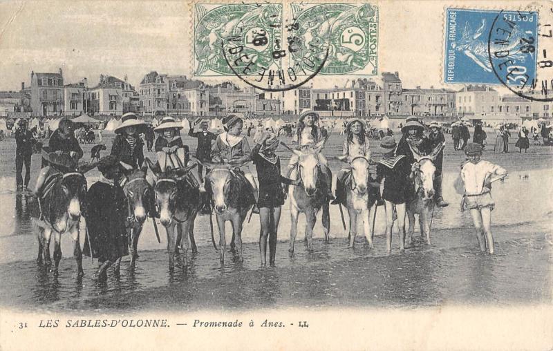 Carte postale ancienne Les Sables D'Olonne - Promenade A Anes aux Sables-d'Olonne