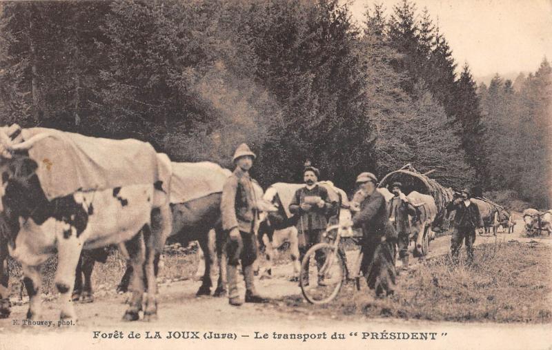Carte postale ancienne Foret De La Joux - Le Transport Du President