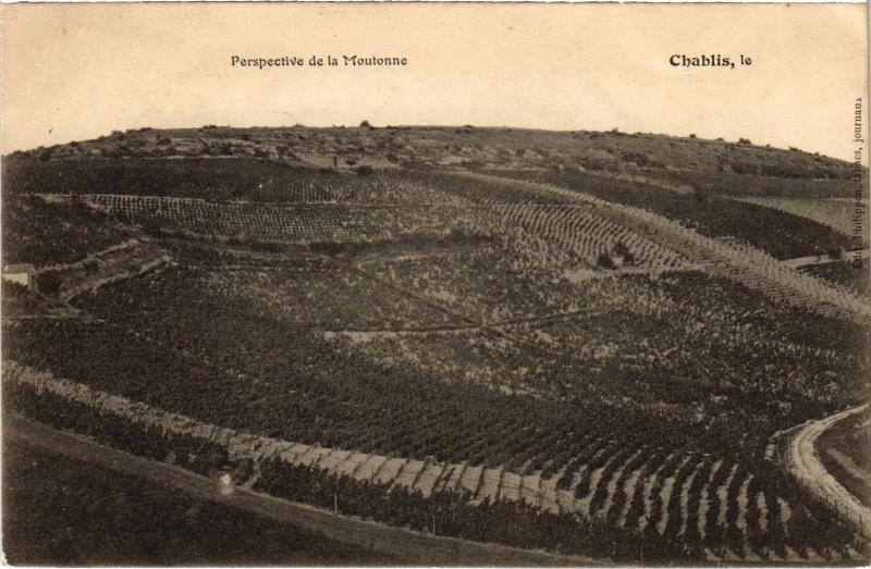 Carte postale ancienne Chablis Perspective de la Moutonne à Chablis