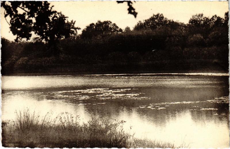 Carte postale ancienne Bleneau Soir sur l'Etang de Branchereaux