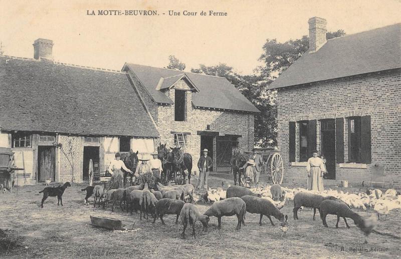 Carte postale ancienne La Motte Beuvron - Une Cour De Ferme
