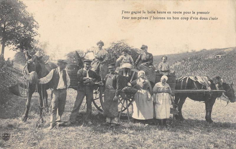 Carte postale ancienne Env.saint Satur - J'Ons Gagne La Belle Heure - En Route Pour Le Pressoir à Saint-Satur