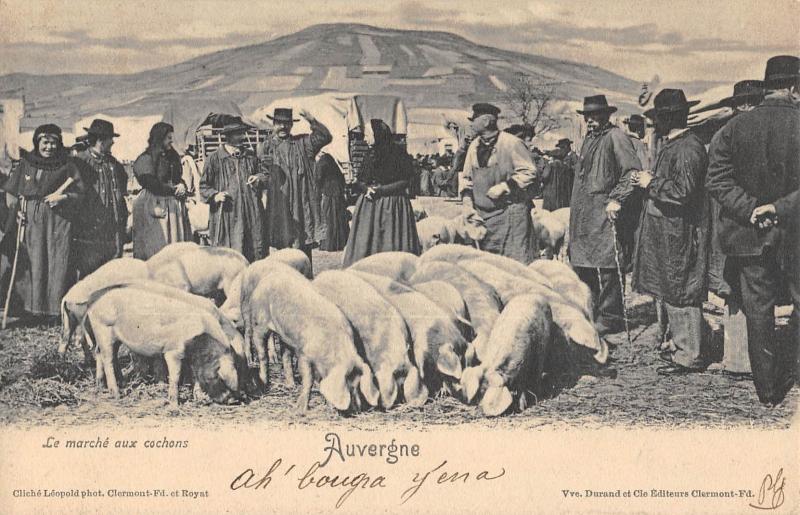 Carte postale ancienne Auvergne - Le Marche Aux Cochons