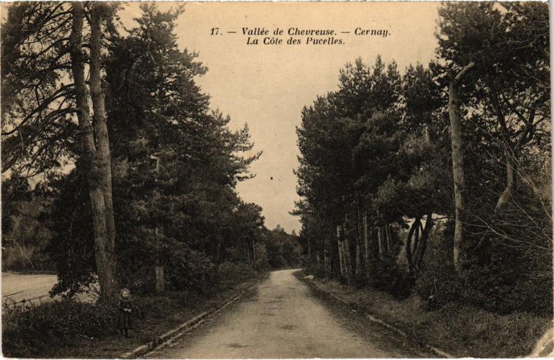 Carte postale ancienne Cernay la Ville La Cote des Pucelles France à Cernay-la-Ville