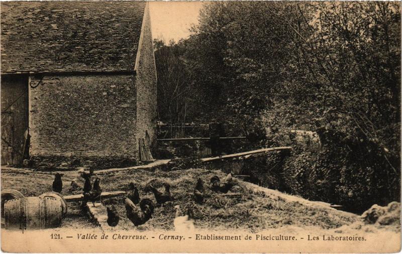 Carte postale ancienne Cernay la Ville Etablissement de Pisciculture France à Ablis