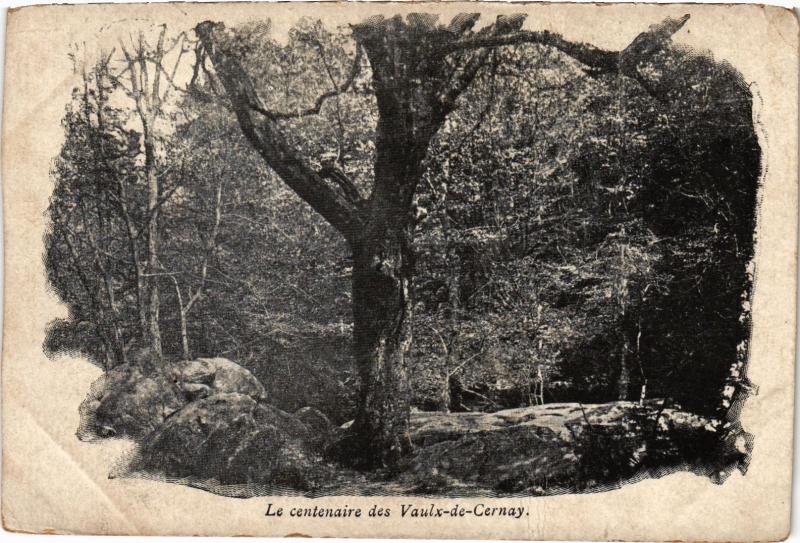 Carte postale ancienne Cernay la Ville Le Centenaire des Vaulx France à Cernay-la-Ville
