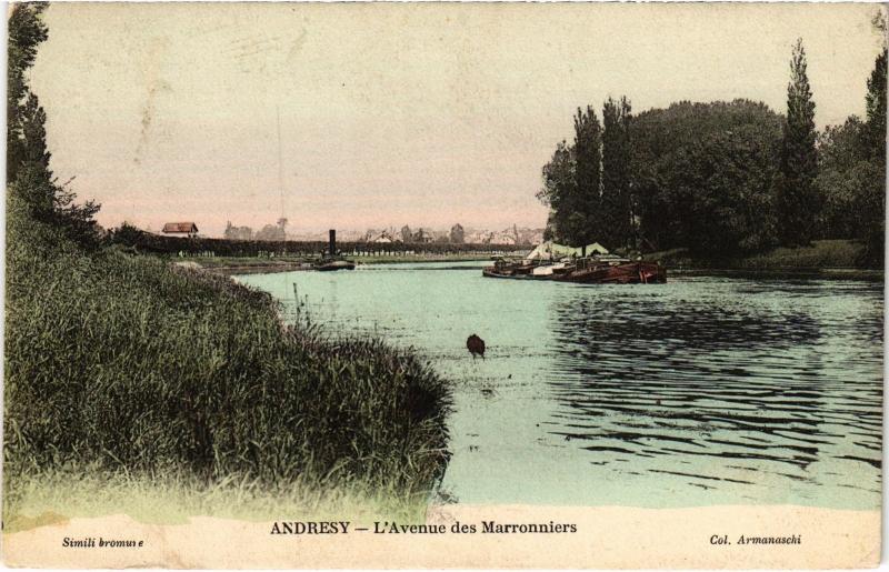 Carte postale ancienne Andresy L'Avenue des MArronniers France