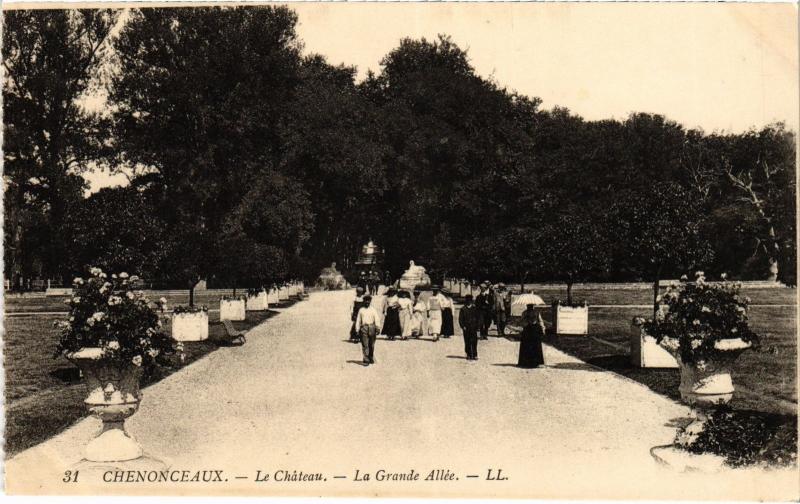 Carte postale ancienne Chenonceaux Le Chateau, La Grande Allee France à Chenonceaux