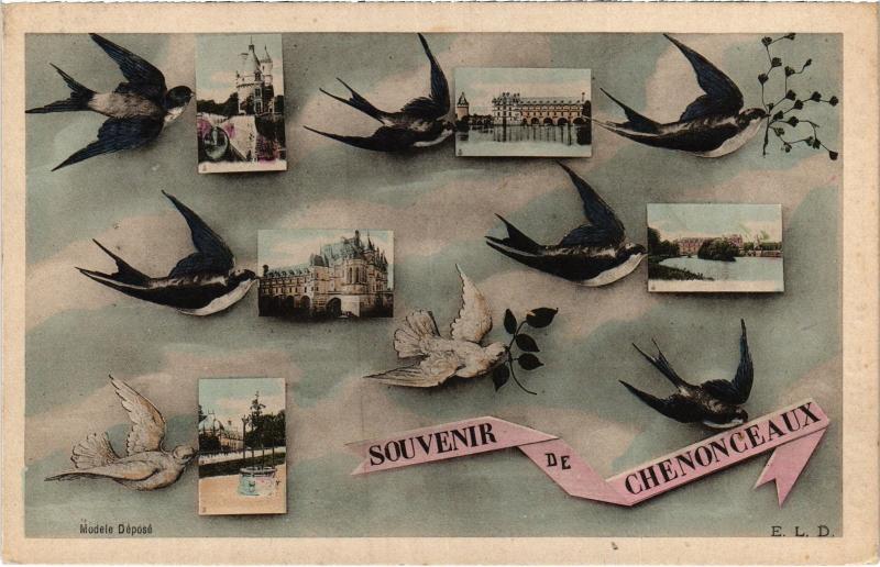 Carte postale ancienne Souvenir de Chenonceaux France à Chenonceaux