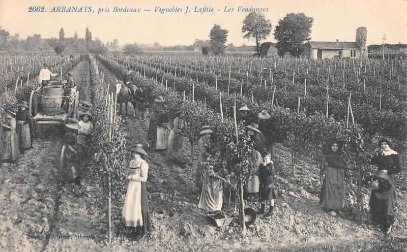 Carte postale ancienne Arbanats - Pres Bordeaux - Vignobles J.lafitte - Les Vendanges à Arbanats