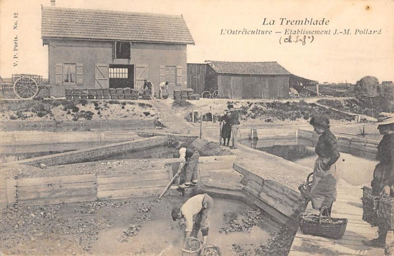 Carte postale ancienne La Tremblade - L'Ostreiculture - Etablissement J-M.pollard à La Tremblade