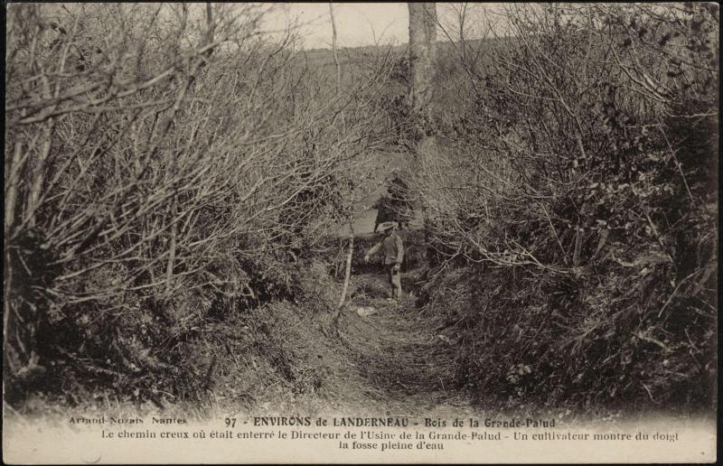 Carte postale ancienne Bois de la Grande-Palud à La Forest-Landerneau