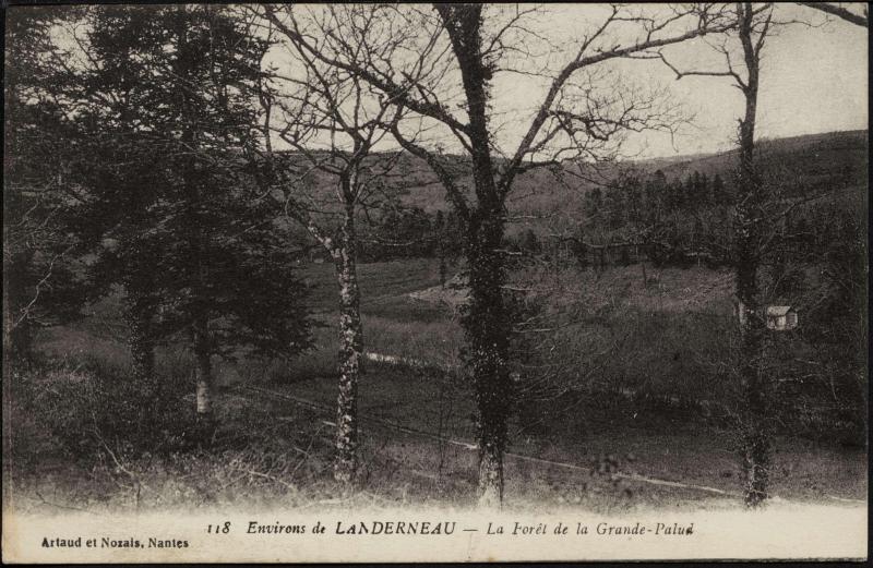 Carte postale ancienne La Forêt de la Grande-Palud à La Forest-Landerneau
