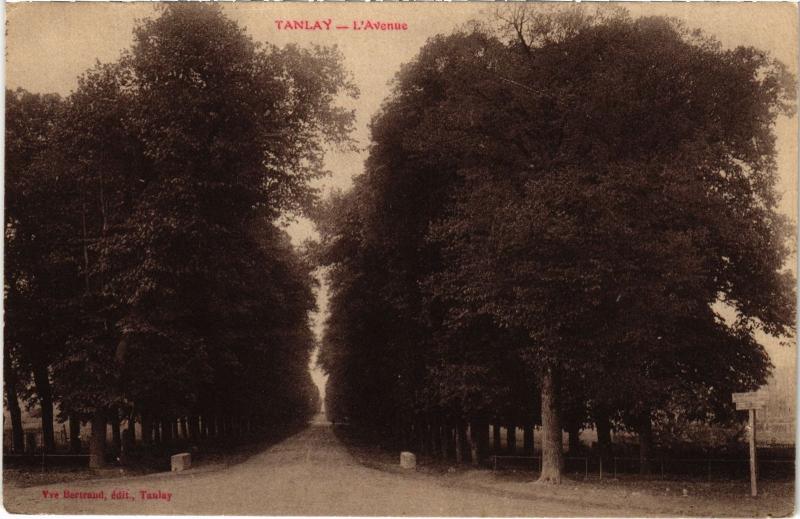 Carte postale ancienne Tanlay L'Avenue France à Tanlay